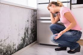 Best Mold Removal for HVAC Installations  in Great Bend, NY